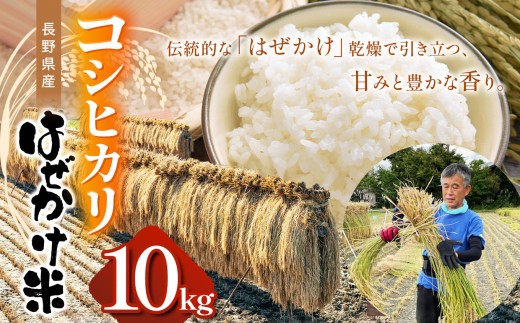 【先行受付：10月末～発送】長野県産コシヒカリ（ はぜかけ米 ）10kg  | ふるさと納税 こしひかり コシヒカリ 米 長野県 松本市 信州米 こめ 白米 おこめ ごはん
