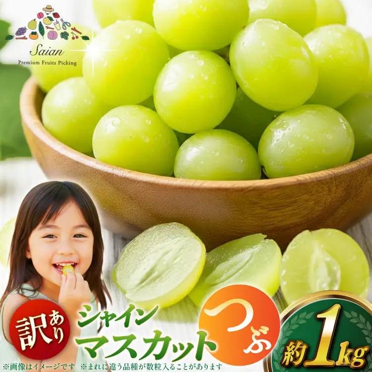 【2026年発送】シャインマスカット 訳あり家庭用 粒 にてお届け 約1kg 山梨県産 冷蔵発送 果物 フルーツ 山梨 ぶどう マスカット ブドウ 葡萄 規格外 期間限定 季節限定 冷蔵