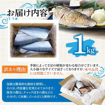 ふるさと納税 土佐清水市 訳あり 国産 塩サバ 切り身 約1kg(約6枚)味付き・冷凍【R01424】 |  | 03