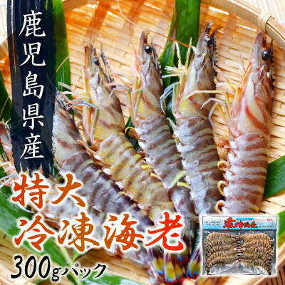 【ふるさと納税】鹿児島県産特大冷凍車海老300g【配送不可地域：離島】【1185849】