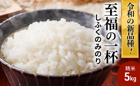 至福の一杯 5kg 令和7年産 米 お米 ご飯 飯 精米 津市 三重県 新品種
