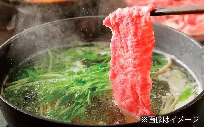 【全6回定期便】長崎和牛 モモスライス 総計3.0kg （約500g/回）【ながさき西海農業協同組合】 [DBV032][DBV032]