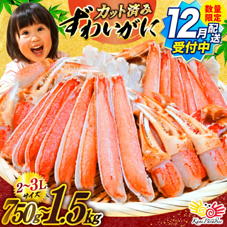【ふるさと納税】 年内発送 数量限定 訳あり 【選べる内容量 配送時期】カット済み 生 ずわいがに むき身 セット 総重量750g/1.5kg (正味重量600g/1.2kg) 2-3Lサイズ [カネダイ 宮城県 気仙沼市 20565777] かに カニ ズワイガニ ずわい カット ズワイ 蟹 カット生ずわい ◎