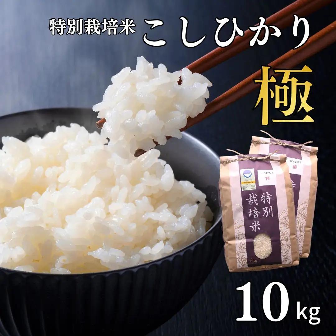 コシヒカリ 「極」 10kg (5kg×2袋)  新潟県認証 特別栽培米 令和7年産 一等 コシヒカリ