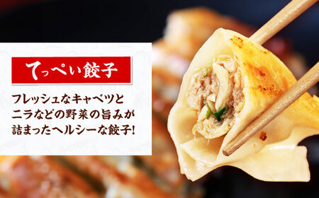 石田てっぺい 濃厚とんこつラーメン＆てっぺい餃子 5人前セット 冷凍 餃子 ギョーザ ラーメン 豚骨ラーメン 惣菜 おかず 国産 大阪府高槻市/無人屋[AOCX035]