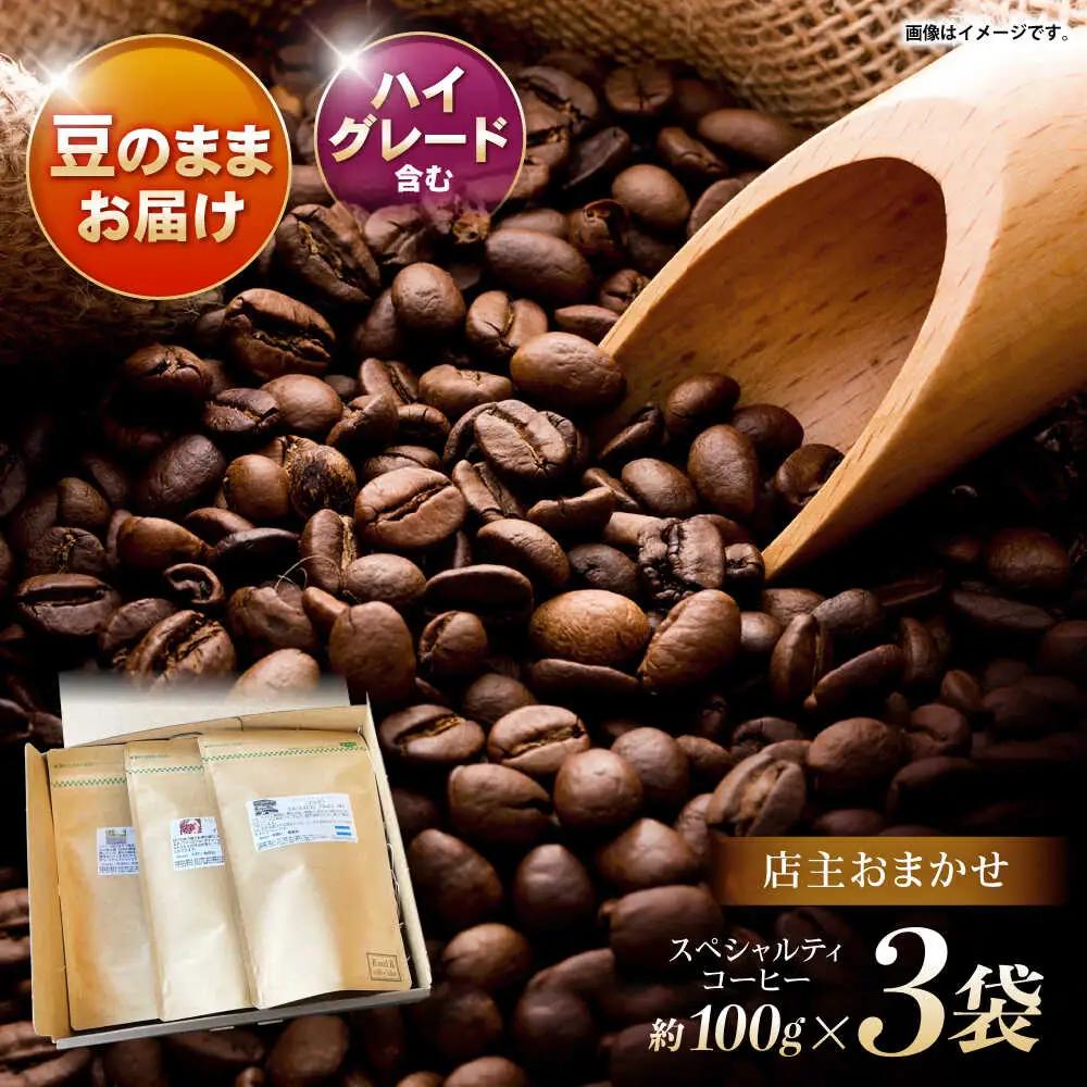 自家焙煎ハイグレードコーヒーを含むおまかせセット(豆のまま) / ハイグレードコーヒー ブレンド コーヒー / 諫早市 / R and R coffee labo [AHCJ004]