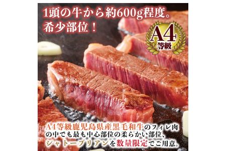 a326 A4等級鹿児島県産黒毛和牛！希少な牛肉！シャトーブリアン 100g×3(計300g)フィレ肉中でも最も中心部の柔らかい部位シャトーブリアンをセットでお届け【財宝】