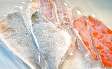 宿毛湾産 旬の地魚（3種）お造りセット（3～4人前）