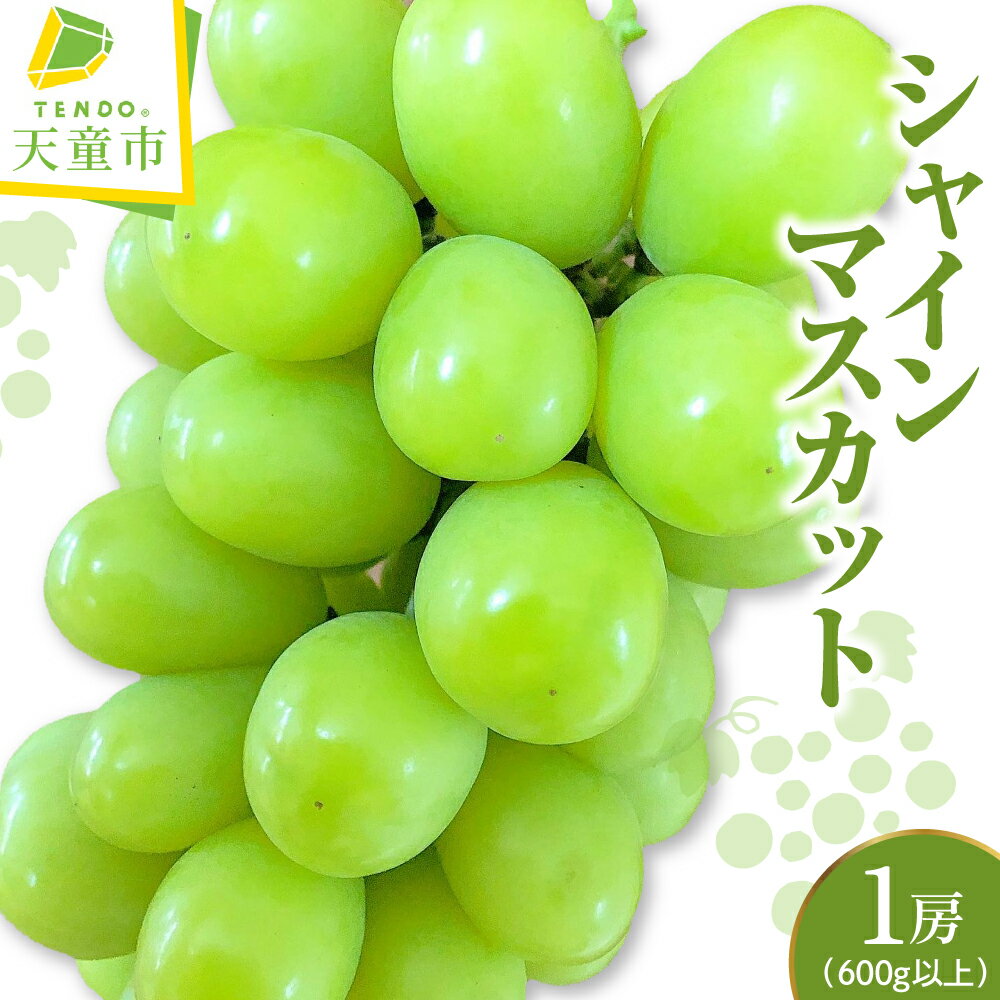 【ふるさと納税】シャインマスカット 1房 （ 600g 以上 ） 令和8年産 先行予約 2026年 ぶどう 人気 おすすめ フルーツ 果物 くだもの 山形 お取り寄せ 産地直送 送料無料 【 山形県 天童市 】