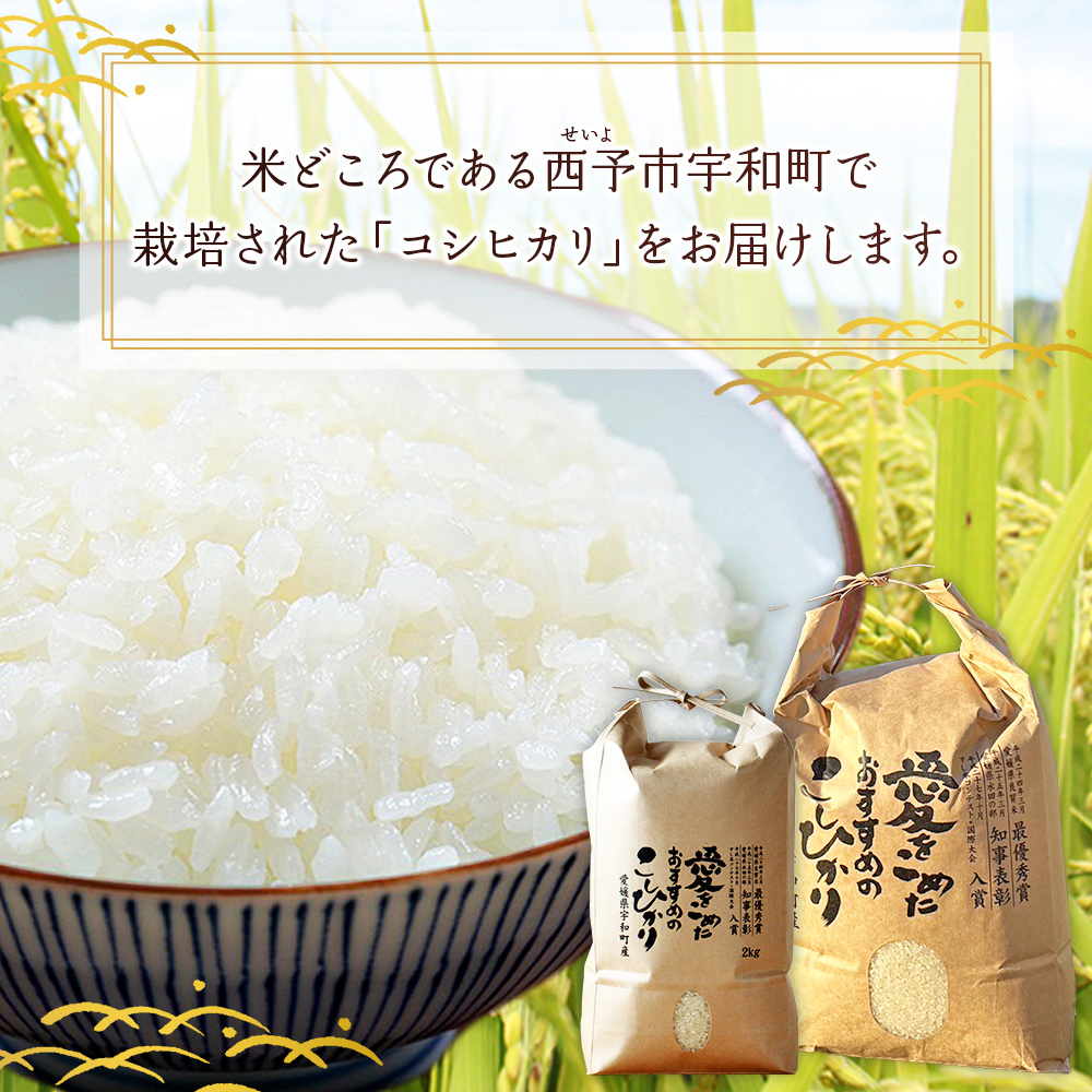 ＜令和7年産 西予市宇和町産 コシヒカリ 約5kg＞ お米 コメ こめ 白米 精米 単一原料米 ご飯 白飯 ごはん 穀物 コシヒカリ こしひかり 朝食 特産品 愛媛県産 西予市産 宇和町産 三好フク