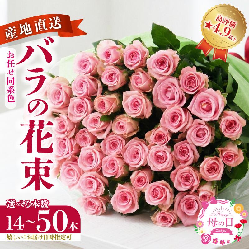 【ふるさと納税】 生産者直送！バラの花束 14本 20本 50本 色同色 おまかせ 日時指定可 バラ 生花 薔薇 花束 フラワーアレンジメント 記念日 誕生日 クリスマス 母の日 父の日 ギフト プレゼント 花 同色系 plan002_01 G02_03 G04_01