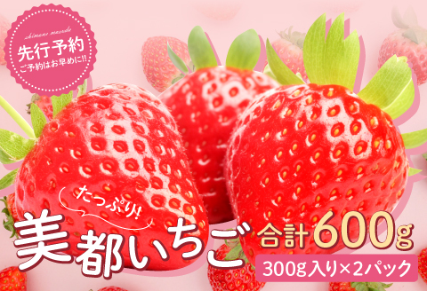 A-536 美都いちご（350g×2パック）