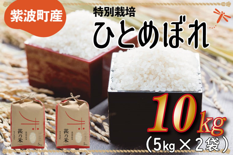 
            ＼新米 令和6年産／ ひとめぼれ 白米 10kg 【甚乃米 特別栽培米】 さめても美味しい おこめ 白米 岩手県 紫波町産  (AC023)
          