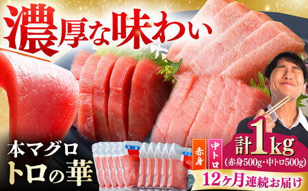 【全12回定期便】対馬産 本マグロ 1kg（赤身500g、中トロ500g） トロの華 対馬 新鮮 マグロ トロ 鮪 刺身 [WAQ054]