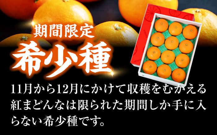  紅まどんな 4L〜2L玉サイズ 約3kg（8玉〜12玉入）【先行予約】【11月下旬から順次発送】化粧箱入 果物 フルーツ みかん ミカン まどんな 愛媛県大洲市/愛媛たいき農業協同組合[AGAO00