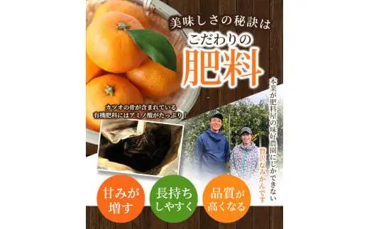 秀品 ポンカン 2kg 【S~2Lのサイズおまかせ】【2026年10月中旬から1月下旬頃に順次発送】＜味好農園＞/ ぽんかん 蜜柑 みかん 柑橘 果物 フルーツ 【agy008-p-2】