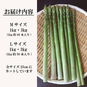 アスパラガス Mサイズ 3kg 2025年 3月から9月末まで発送 せいくらべ アスパラ 季節 春 野菜 新鮮 旬 煮物 炒め物 漬物 鍋 味噌汁 家庭用 弁当 惣菜 おかず 健康 栄養 Anto F