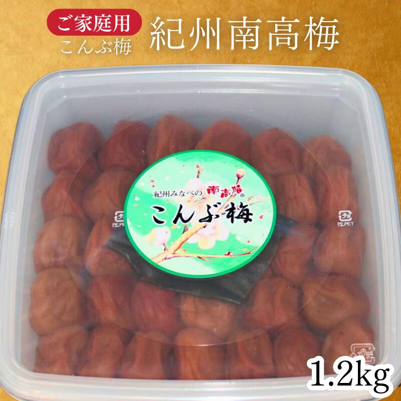 【ふるさと納税】【家庭用】紀州南高梅 こんぶ梅 1.2kg 塩分約10％ うす塩仕立て 昆布の旨み