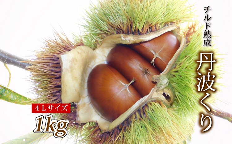 チルド熟成 丹波くり 4L 1kg（京都　京丹波町産　丹波栗　熟成　生栗） ※北海道・沖縄・その他離島は配送不可