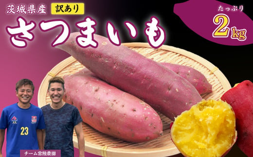 【先行予約 11月中旬以降発送】【訳あり】さつまいも 2kg｜いも スイーツ 野菜 ダイエット 小分け 国産 茨城県産 さつまいも サツマイモ お芋 おやつ 干し芋 焼き芋 紅はるか シルクスイート ねっとり 甘い 完熟 熟成 高評価 多数 蜜いも 秋の味覚 品種お任せ 訳あり 家庭用 サイズ不均一 小さめ キズ スレ 期間限定 高糖度 芋 焼き芋 ふぞろい 訳アリ 大容量 茨城県 常陸太田市