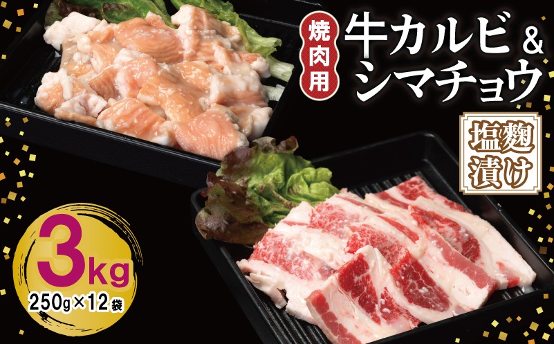 099H3397 牛カルビ＆シマチョウ 塩麹漬け 焼肉セット 合計3kg【味付け 小分け 焼くだけ 簡単調理 BBQ 250g×12袋 牛肉 ホルモン】