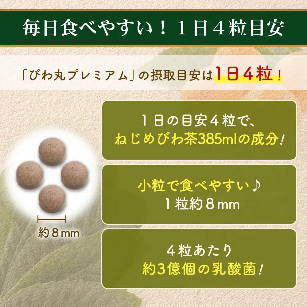 【定期便 全3回】≪3ヶ月連続で毎月お届け≫ びわ丸プレミアム ≪1回あたり(120粒入×1袋) ≫  健康補助食品 びわ茶含有加工食品  TO-10-NP| 国産 びわ茶 びわの葉 サプリメント 乳