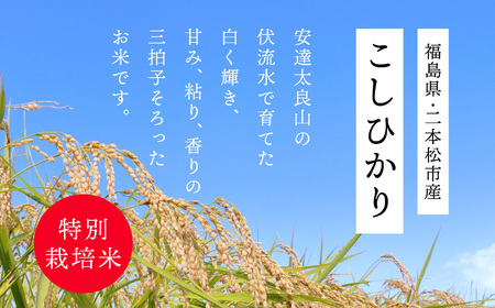 二本松市産こしひかり5kg 米 精米 コシヒカリ 5kg 特別栽培 お米 こめ おすすめ お中元 お歳暮 ギフト 二本松市 ふくしま 福島県 送料無料【株式会社あだたら米】