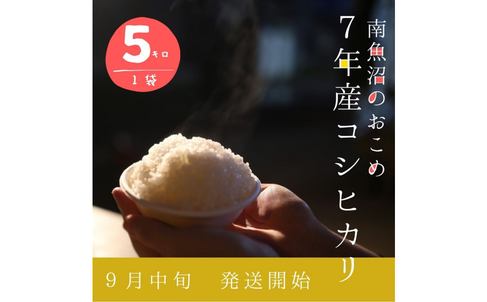 【令和7年産】5kg/南魚沼産コシヒカリ　うちやま農園のお米/発祥の地