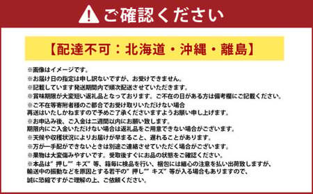 詰合 ニューピオーネ 2房 シャインマスカット 晴王 2房（1房各480g以上）計1.92kg以上 化粧箱入り 【2026年9月上旬～10月上旬迄発送予定】 ぶどう ブドウ 葡萄 マスカット ピオーネ