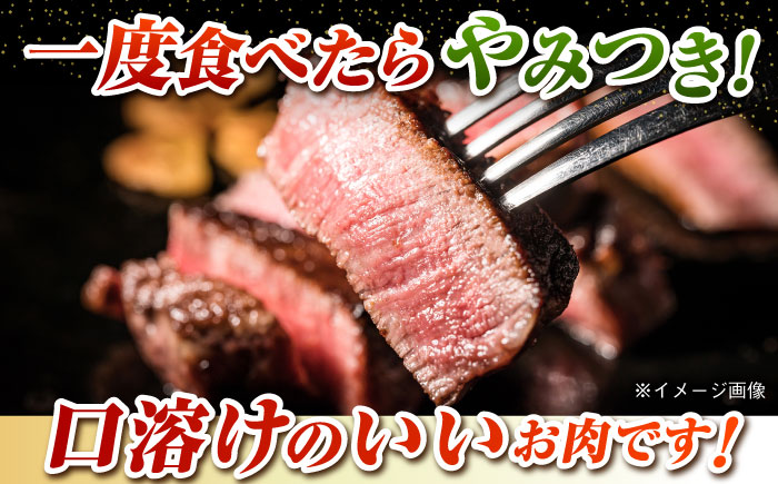 やみつき 五島牛 サーロインステーキ 250g×2枚 A4 A5 国産  牛肉 牛 肉 ステーキ 五島市/肉のマルヒサ [PCV002]