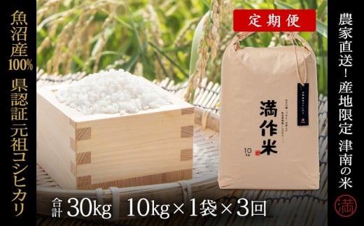 【 定期便 3ヶ月 】 米 10kg × 3回 令和7年産 新米 魚沼産 コシヒカリ 県認証米 満作米 | ブランド米 お米 おこめ こめ コメ 白米 精米 おすすめ 人気 新潟県 津南町