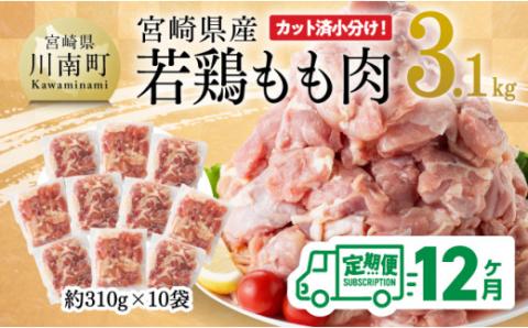 【12ヶ月定期便】宮崎県産 若鶏 もも肉 3.1kg 【 鶏肉 もも肉 肉 小分け からあげ チキン南蛮 国産 九州産 宮崎県産  送料無料 】