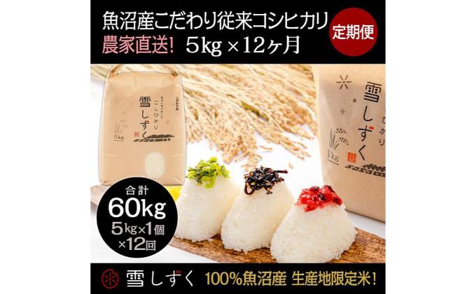 【令和7年産】定期便！魚沼産こだわり従来コシヒカリ【合計60kg】毎月5kg×12回 ブランド米 銘柄米 白米 精米 ご飯 おにぎり お弁当 