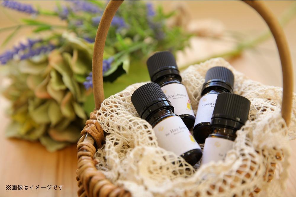 プレミアムレディースドック【芥川バースクリニック】川崎市麻生区