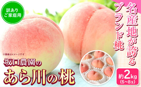 桃 あら川の桃 訳あり 約2kg 坂口農園《2025年6月下旬-8月下旬頃より出荷予定》｜桃桃桃桃モモ
