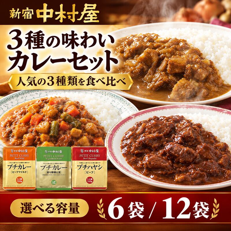 【ふるさと納税】 レトルトカレー 新宿 中村屋 3種 6袋 / 12袋 詰め合わせ ビーフ カレー 彩り野菜 ハヤシ レトルト レトルトカレー カレーライス レトルト食品 レトルトパウチ ハヤシライス 食べ比べ 保存用 防災 備蓄 備蓄食 非常食 保存食 詰合せ 神奈川 海老名