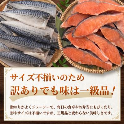 ふるさと納税 石巻市 《訳あり》  定塩銀鮭 約 1kg・無塩サバフィレ 約 1kg 切り身 セット 合計 2kg |  | 01