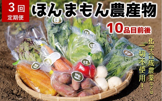 
【3ヶ月定期便】化学合成農薬等不使用で栽培！安心安全な「ほんまもん野菜」を10品目程度お届け♪
