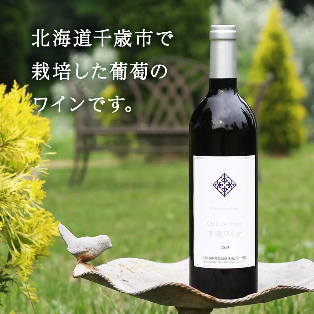 千歳ワイン2022（Chitose Wine）750ml 1本※ギフトボックス無し