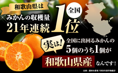 みかん ご家庭用みかん約10kg