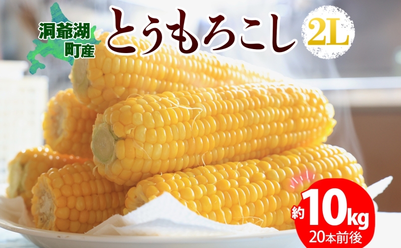 北海道産 とうもろこし 2L 約10kg 20本前後 2025年8月下旬～9月上旬頃お届け とうきび 新鮮 旬 トウモロコシ スイートコーン 産地直送 送料無料 北海道 洞爺湖町