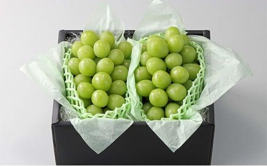 ぶどう 2026年  農家こだわりのシャインマスカット 2房 合計約1.2kg 贈答クラス ブドウ 葡萄  岡山市産 国産 フルーツ 果物 ギフト 【 Nini farm 農家 直送 】