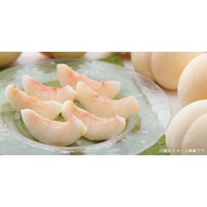 和歌山の桃 秀品 約3.8～4kg (サイズ・品種おまかせ) フルーツ 産地直送【配送不可地域：離島・北海道・沖縄県・東北・関東・九州】【1564632】