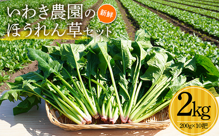いわき農園の新鮮ほうれん草セット 2kg ホウレンソウ 野菜 【配送日指定不可】YD-609