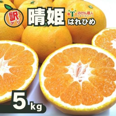 ふるさと納税 愛南町 訳あり 晴姫 はれひめ 5kg フルーツ 果物 みかん 柑橘 みかん職人武田屋