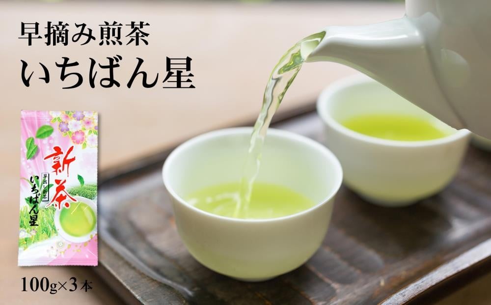 
【新茶特急便】早摘み煎茶いちばん星（100g入×3本）〈煎茶 お茶 茶 緑茶 新茶 茶葉 早摘み〉 n01116

