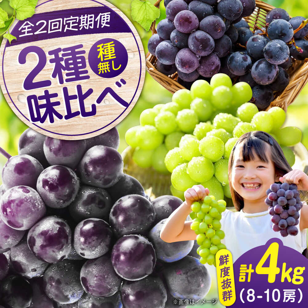 【ふるさと納税】【全2回定期便】ピオーネ シャインマスカット 各2kg（計2種）期間限定/8月下旬〜9月上旬頃発送 沼隈ぶどう ピオーネ シャインマスカット 計4kg（種なし） 広島県福山市/沼隈グリーンセンター ぶどう ブドウ 葡萄 種なし 大粒 ピオーネ マスカット[BAEV014]