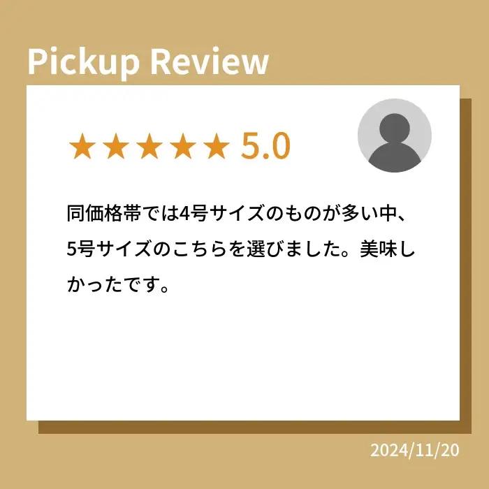 バスクチーズケーキ グルテンフリー 5号 | バスクチーズケーキ