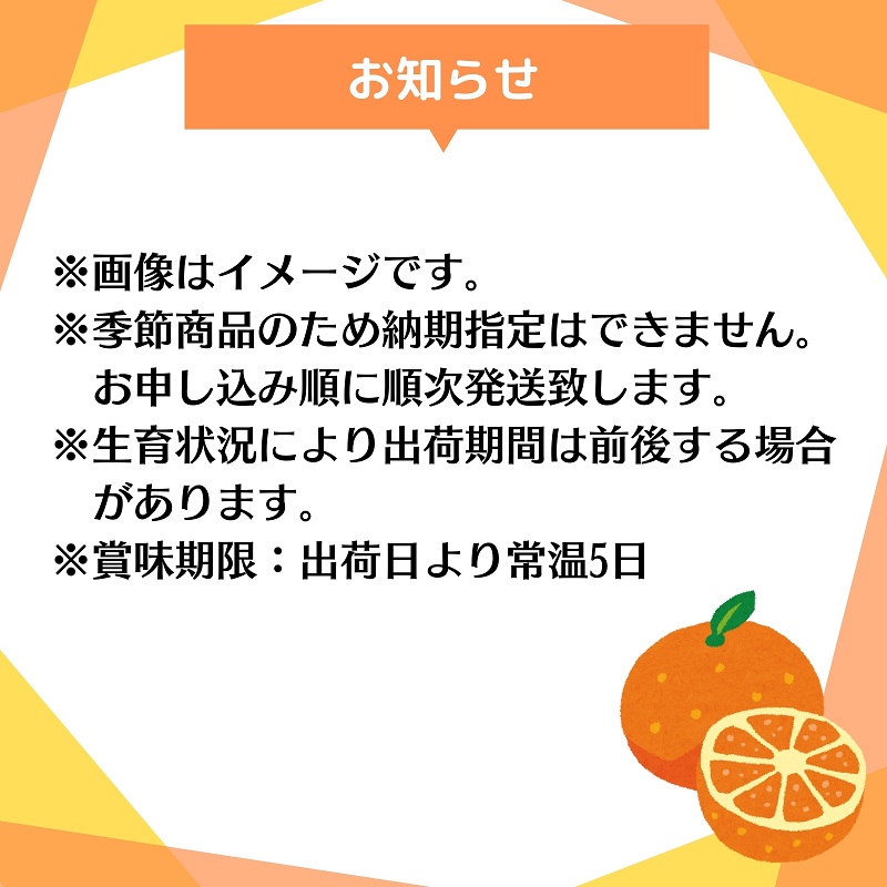 清見　約5kg 果物類 柑橘類 フルーツ みかん 