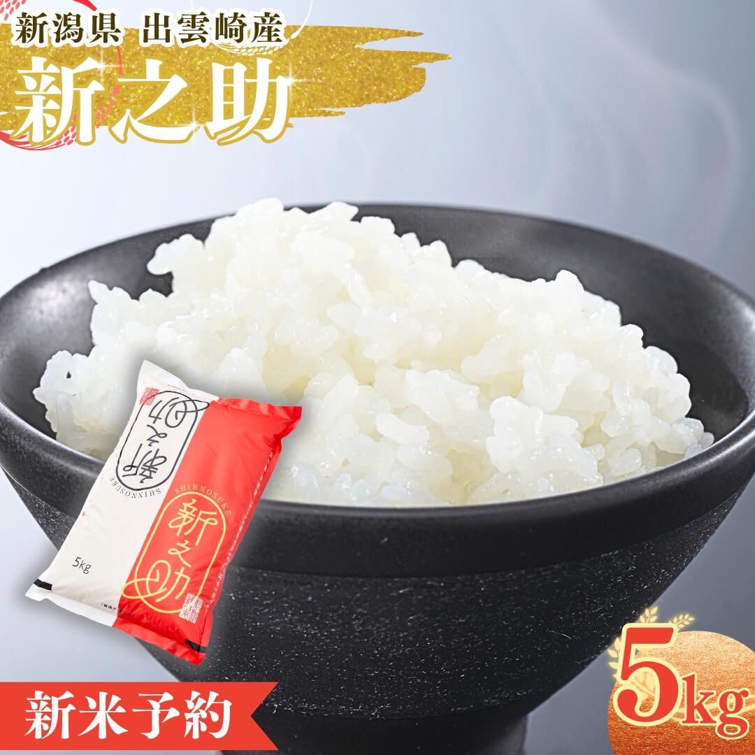 【ふるさと納税】【先行予約・令和7年10月以降発送予定】 令和7年産 「新之助」5kg 新潟県産 出雲崎町産 白米 精米 お米